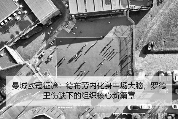 man-cheng-ou-guan-zheng-tu-de-bu-lao-nei-hua-shen-zhong-chang-da-nao-luo-de-li-shang-que-xia-de-zu-zhi-he-xin-xin-pian-2-336.jpg